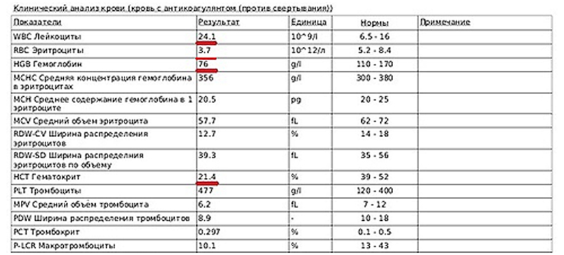 Рис 2. Клинический анализ крови