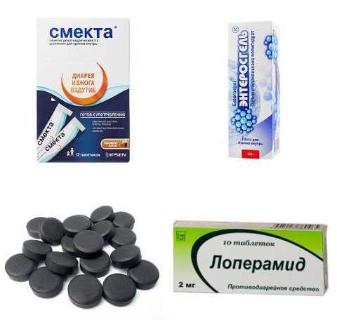 Понос у кошек и котов